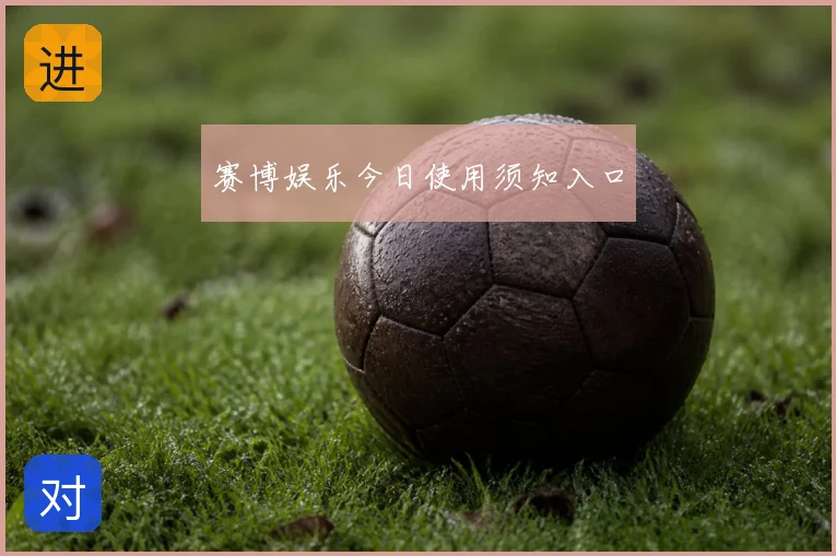 赛博娱乐今日使用须知入口